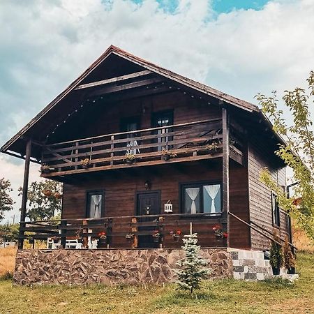 The Wooden Nest -Covasna Villa Exterior photo