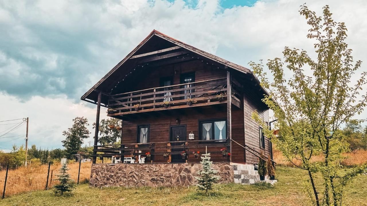 The Wooden Nest -Covasna Villa Exterior photo